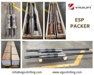 esp packer